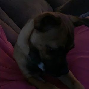 Meet your Posher, Adam